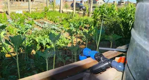 Greenhouse Installation Kenya