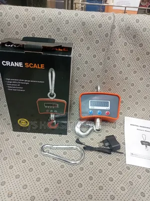 Strong Arm Mini Crane