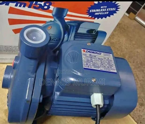 1hp Pedrollo Surface Water Pump - main view