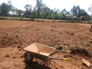 Home Landscaping