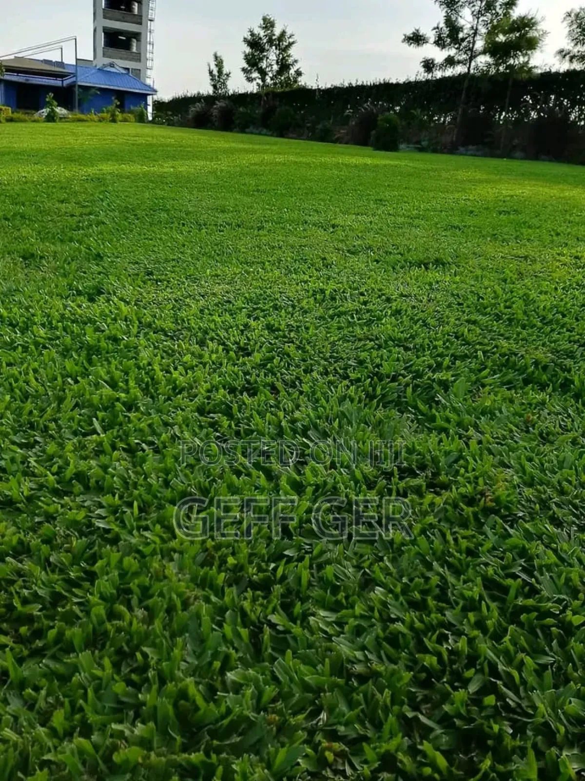 Home Landscaping