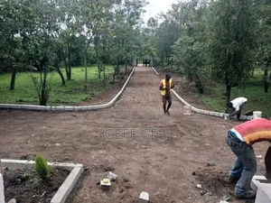 Home Landscaping