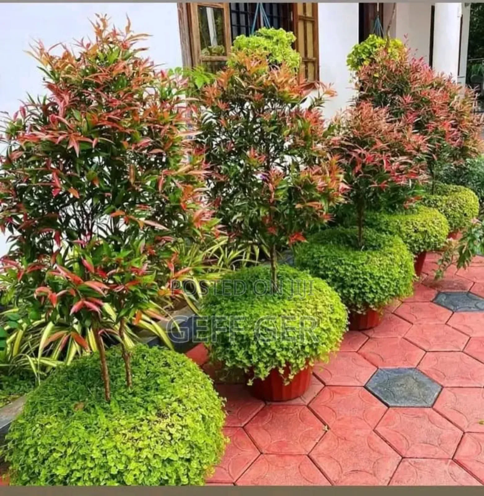 Home Landscaping