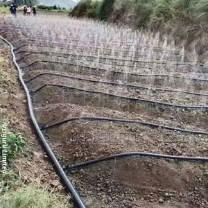 Drip Irrigation - main view