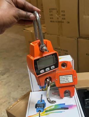 Mini Crane Max Weight 300kg - main view