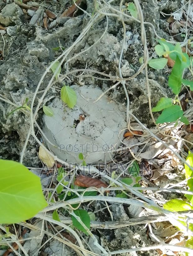 Free Hold Title Deed - main view