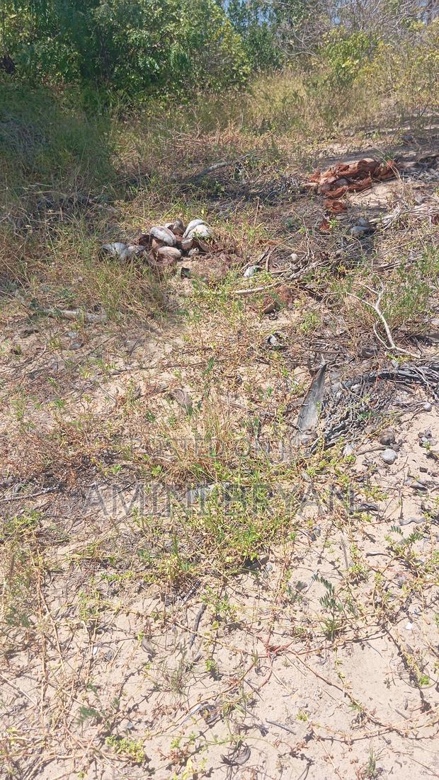 Free Hold Title Deed - thumbnail 4