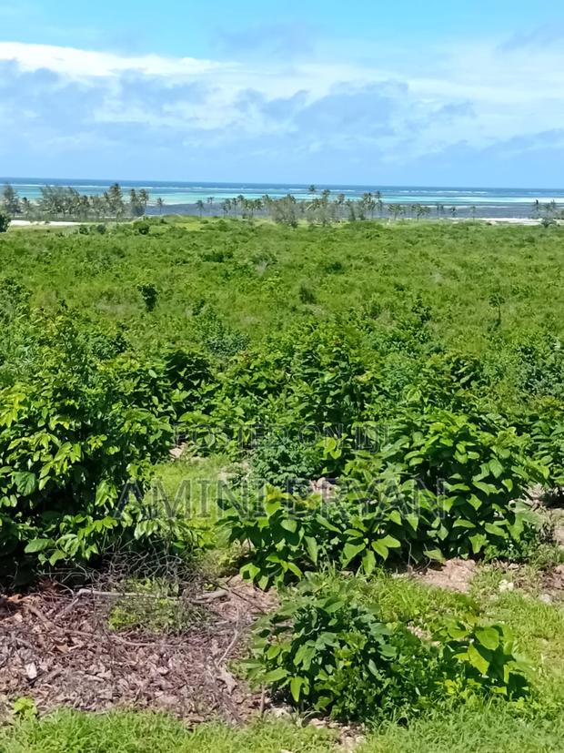 Free Hold Title Deed - thumbnail 5