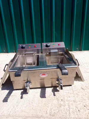 Stainless Steel Double Fryer
