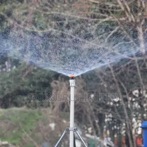 Overhead Watering
