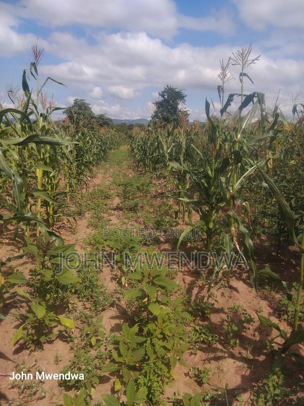 Selling a 2.5 Acreparcel of Land at Kithimani - main view