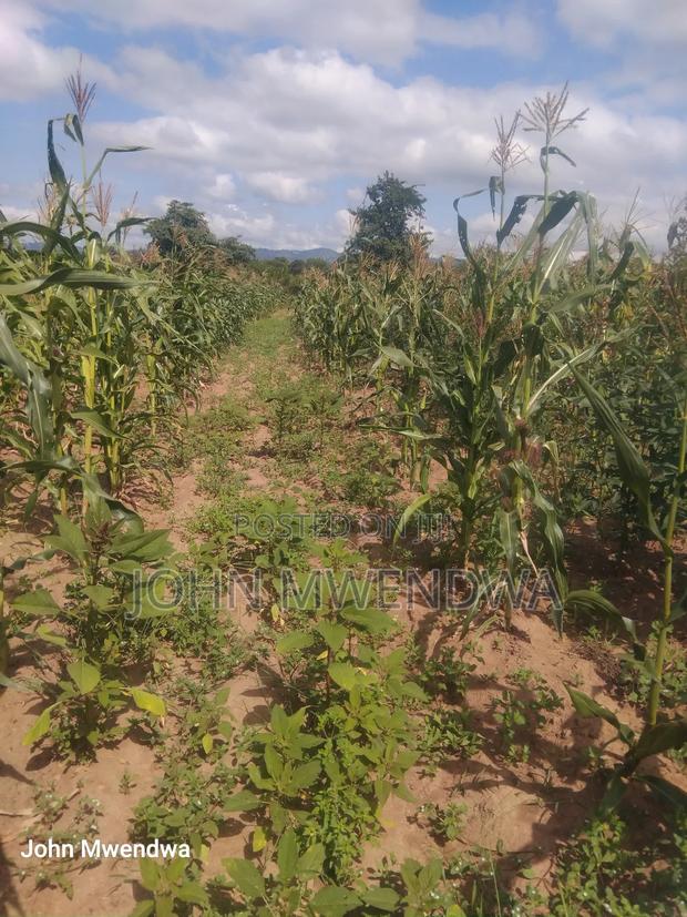 Selling a 2.5 Acreparcel of Land at Kithimani - thumbnail 3