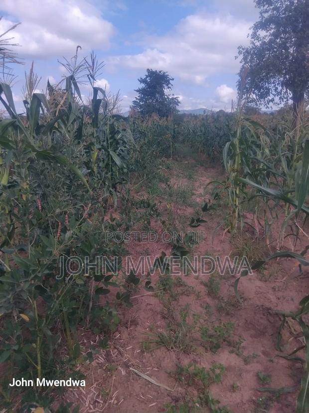 Selling a 2.5 Acreparcel of Land at Kithimani - thumbnail 5