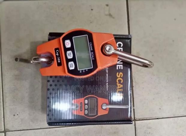 3000kg Commercial Crane Scale - main view