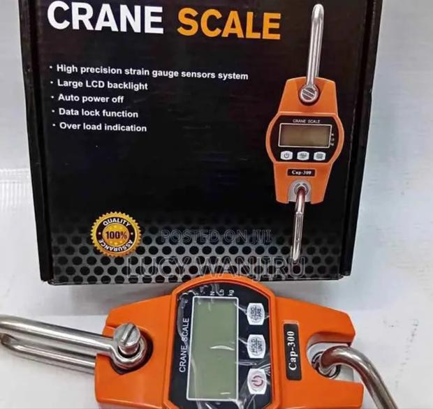Well Performing Commercial Scale - main view