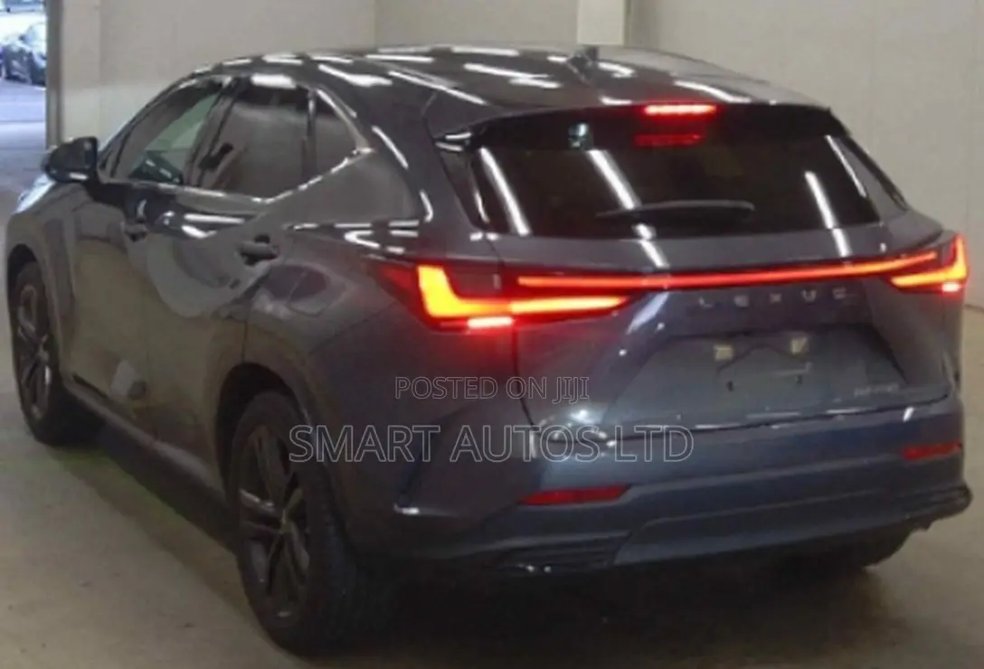 Lexus NX 2022 Gray