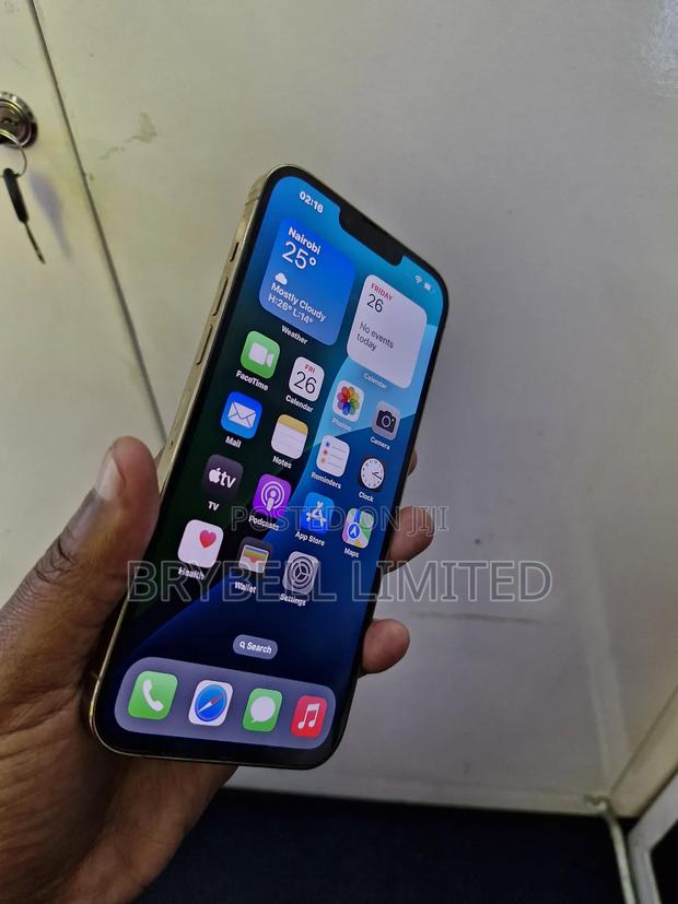 Apple iPhone 13 Pro Max 256 GB Gold - thumbnail 2