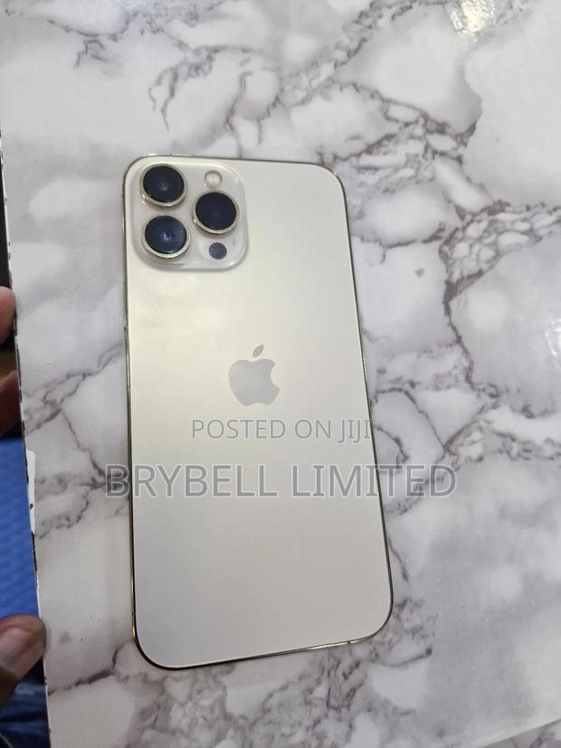 Apple iPhone 13 Pro Max 256 GB Gold - thumbnail 10