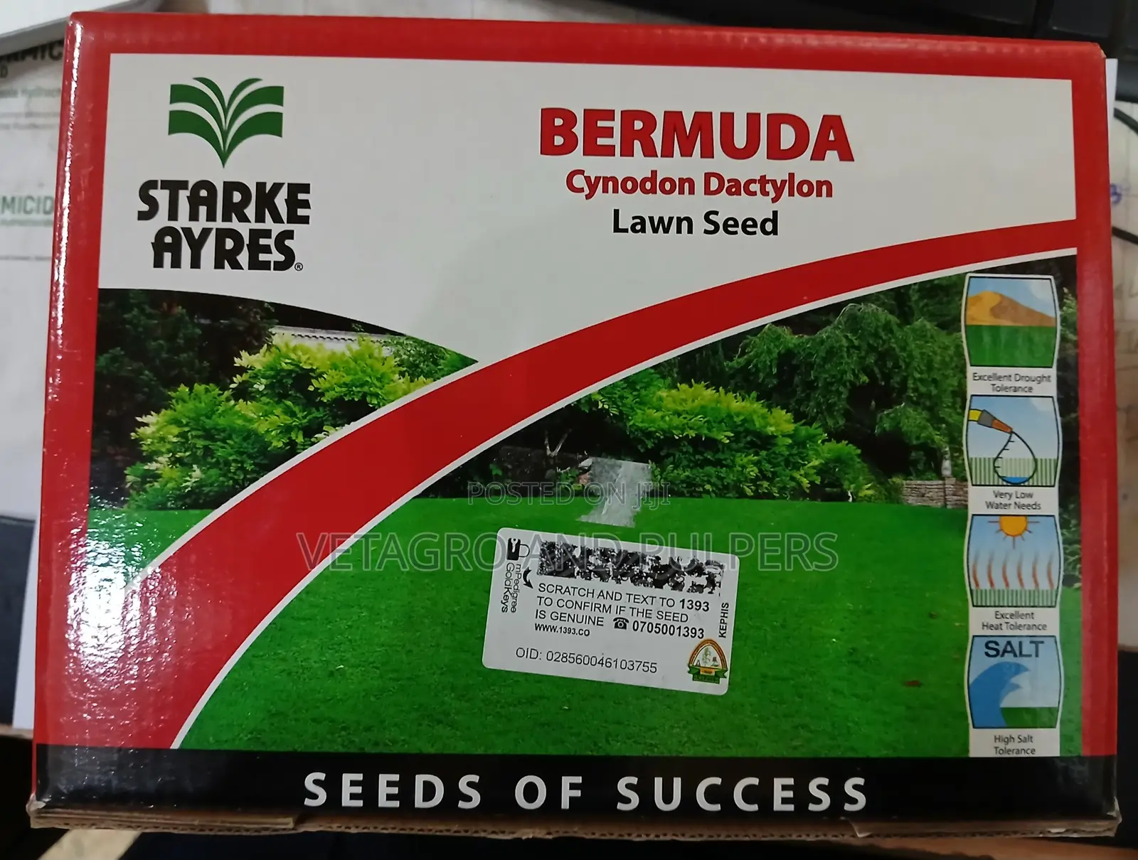 Bermuda (Cynodon Dactylon) Lawn Seed