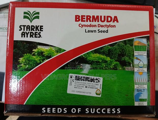 Bermuda (Cynodon Dactylon) Lawn Seed - main view