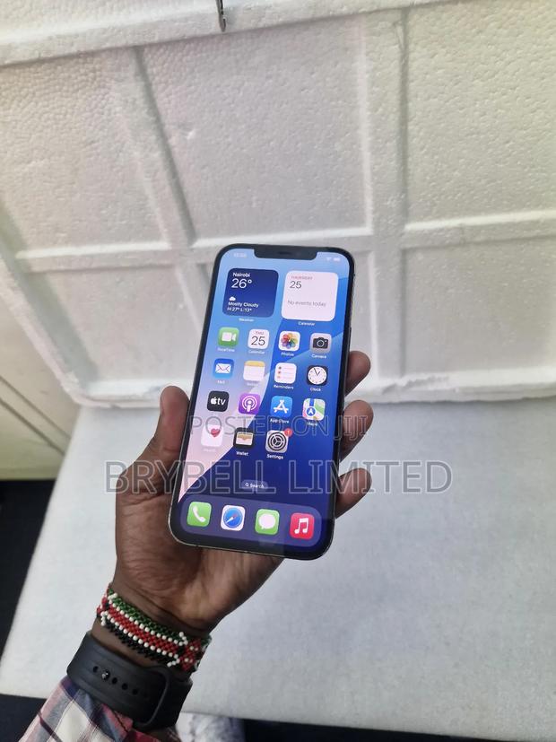 Apple iPhone 12 Pro Max 128 GB Gray - thumbnail 6