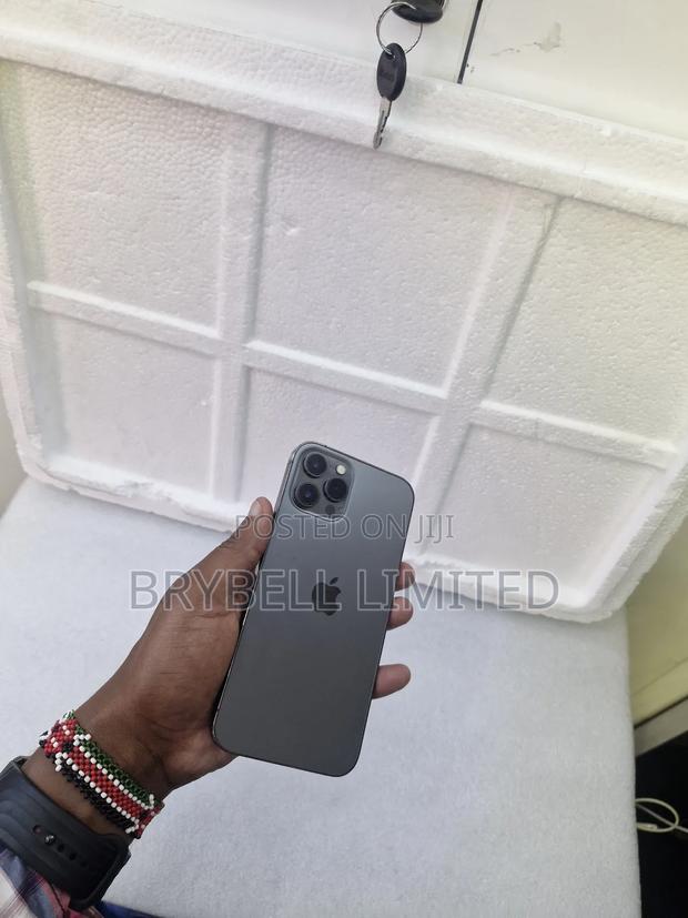Apple iPhone 12 Pro Max 128 GB Gray - thumbnail 5
