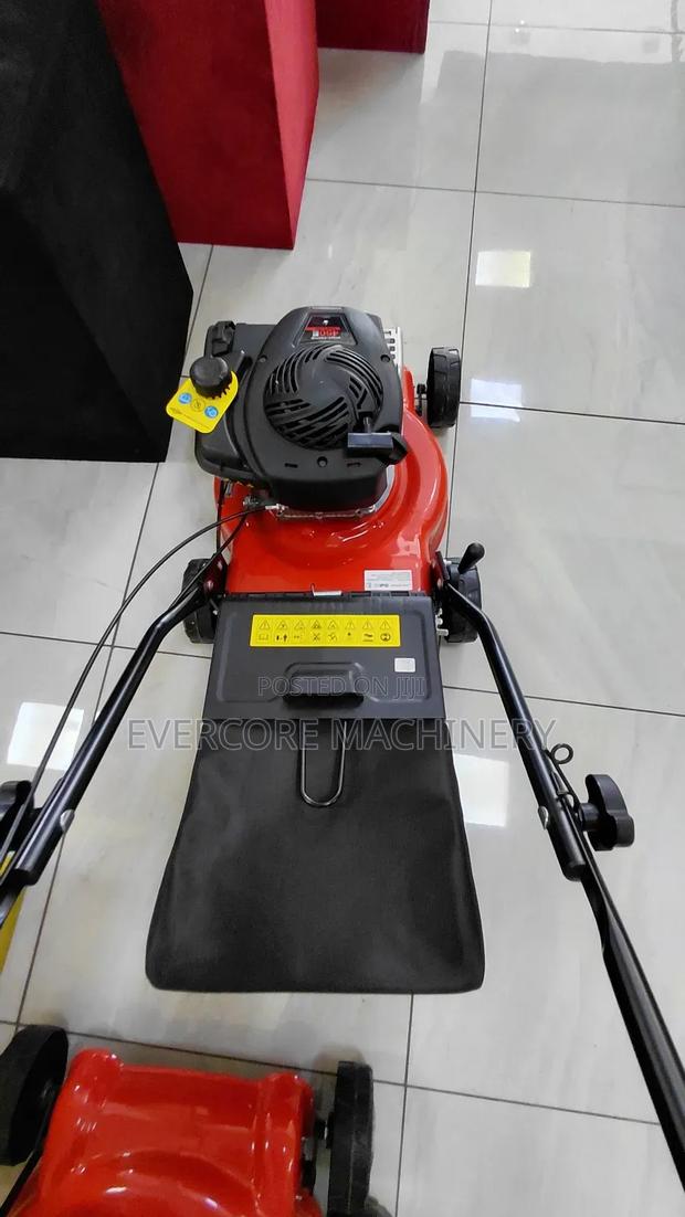 Brings Stratton 125cc Gasoline Lawn Mower 4stroke. - main view