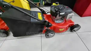 Brings Stratton 125cc Gasoline Lawn Mower 4stroke.