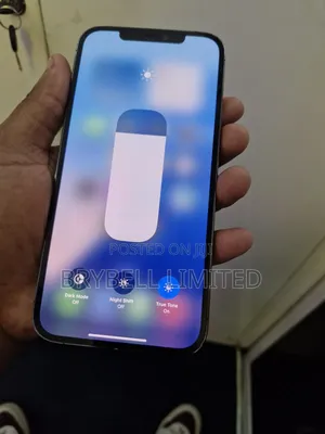 Apple iPhone 12 Pro Max 128 GB Gray