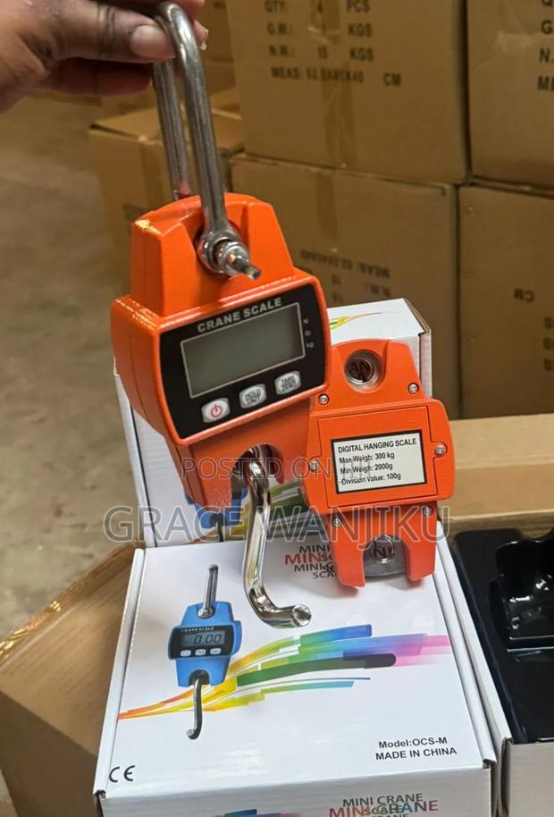 Mini Crane Max Weight 300kg