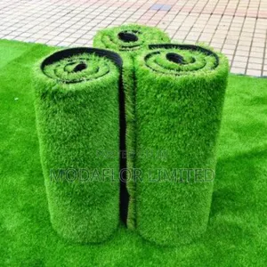 Artificial Grass Carpet for Modern Office Reception Areas