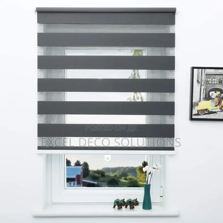 Custom Zebra Roller Window Blinds | Any Size, Any Color