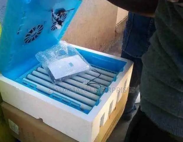 64-Egg Automatic Digital Incubator – Precision Hatching Made Easy - main view