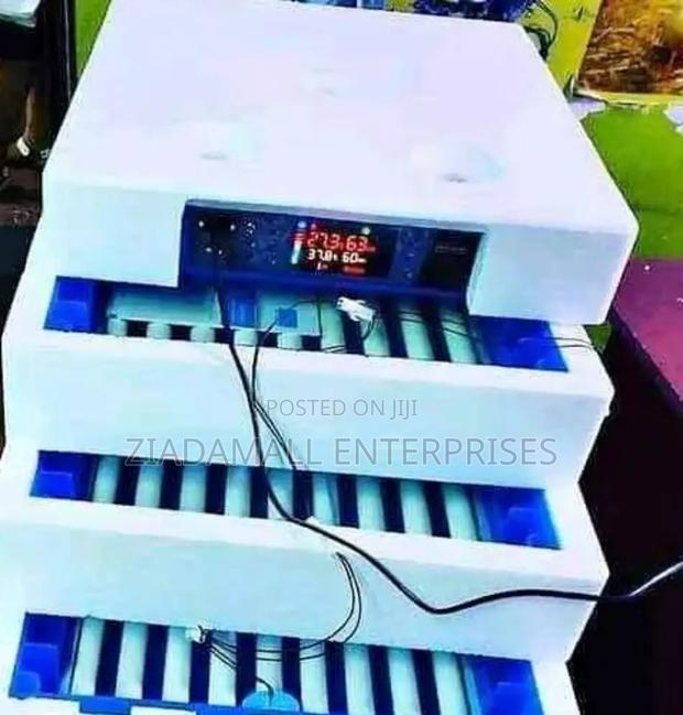 Professional-Grade 64 Egg Incubator – Reliable Results Every Time - main view