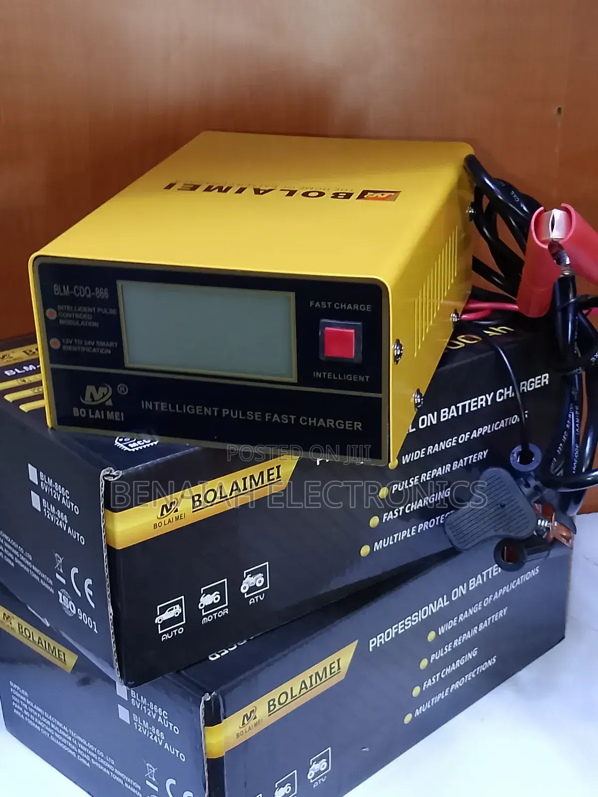 Professional Battery Charger, Fast Charge 12-24 VLTS