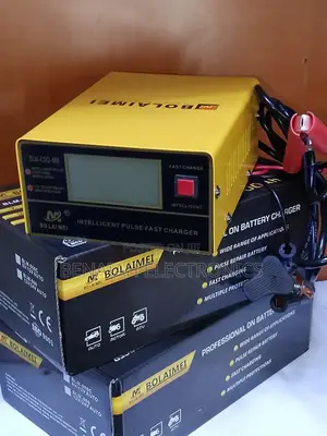 Professional Battery Charger, Fast Charge 12-24 VLTS
