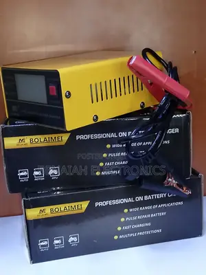 Professional Battery Charger, Fast Charge 12-24 VLTS