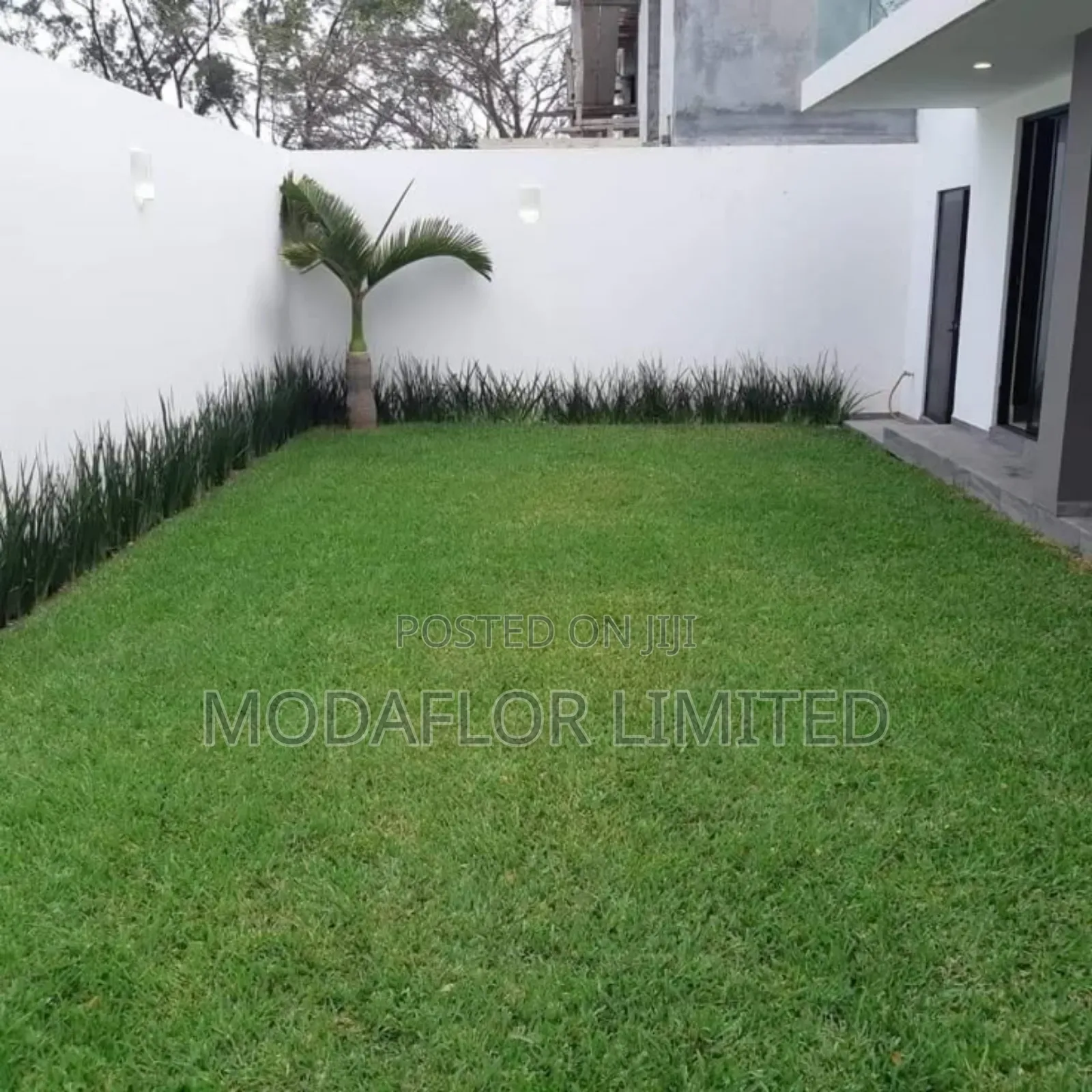 Artificial Grass Carpet for Interior Designers Contractors
