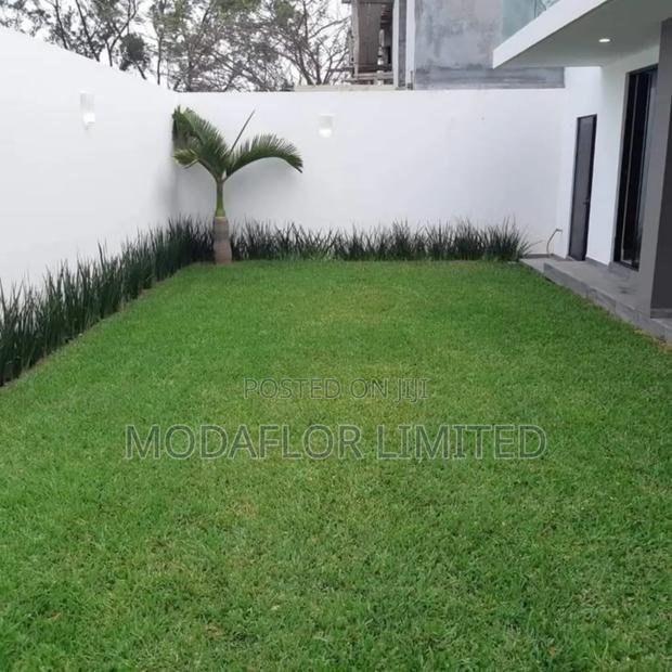 Artificial Grass Carpet for Interior Designers Contractors - main view