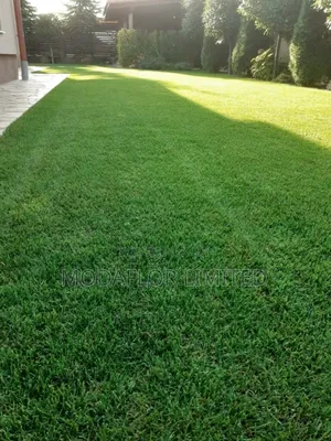 Artificial Grass Carpet for Indoor Gym Training Areas