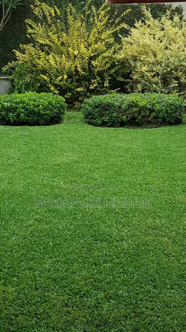Artificial Grass Carpet for Outdoor Dining Cafés - main view