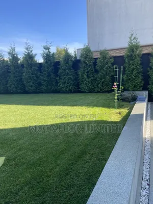 Artificial Grass Carpet for Outdoor Play Fields