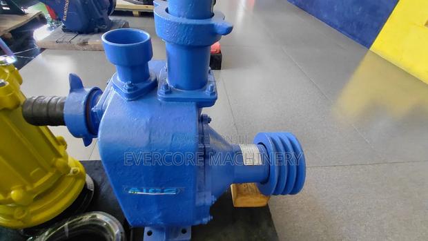 Aico Japan 2inch Bare Pump 65m Head