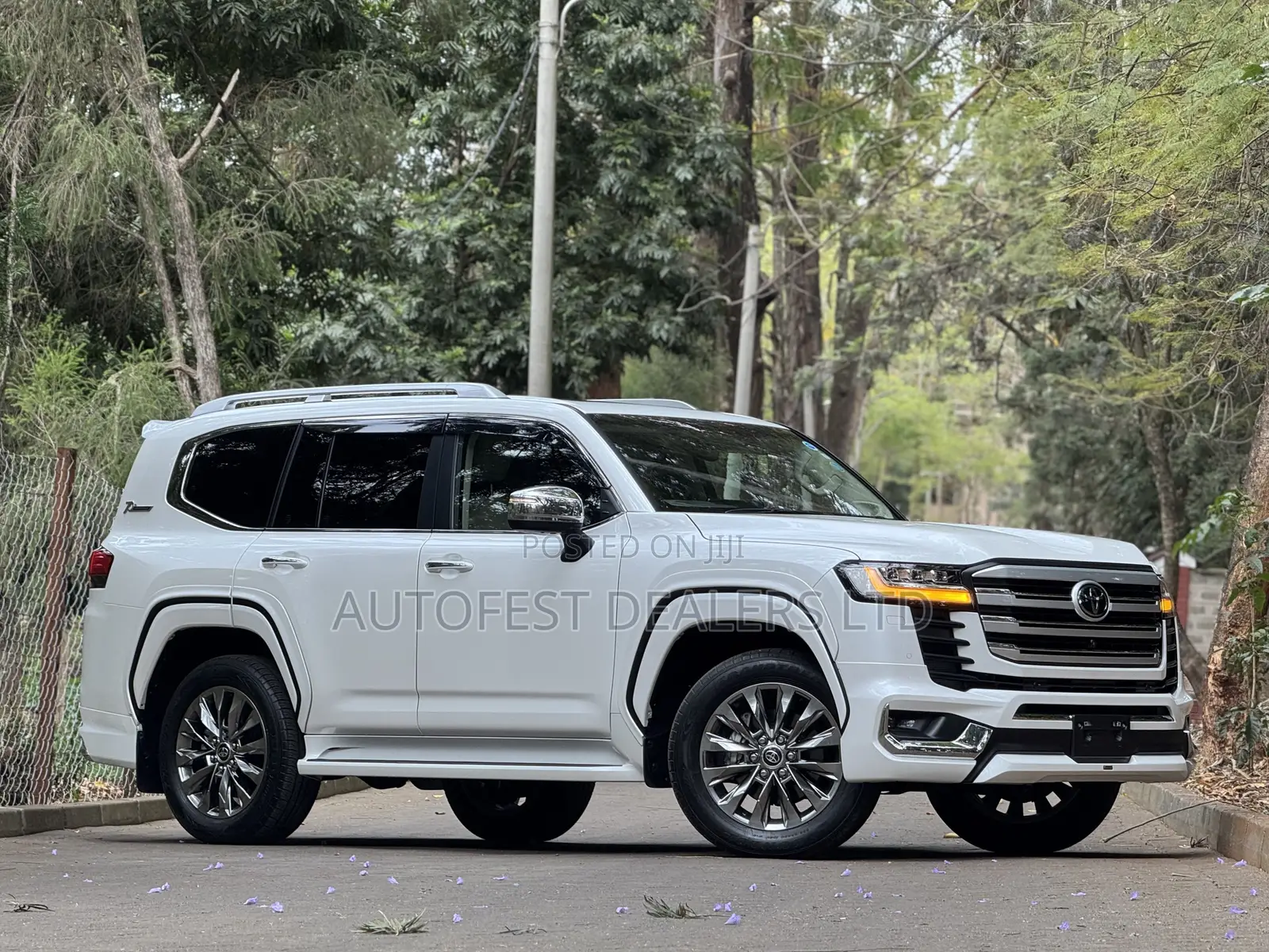 Toyota Land Cruiser LC300 2023 Pearl