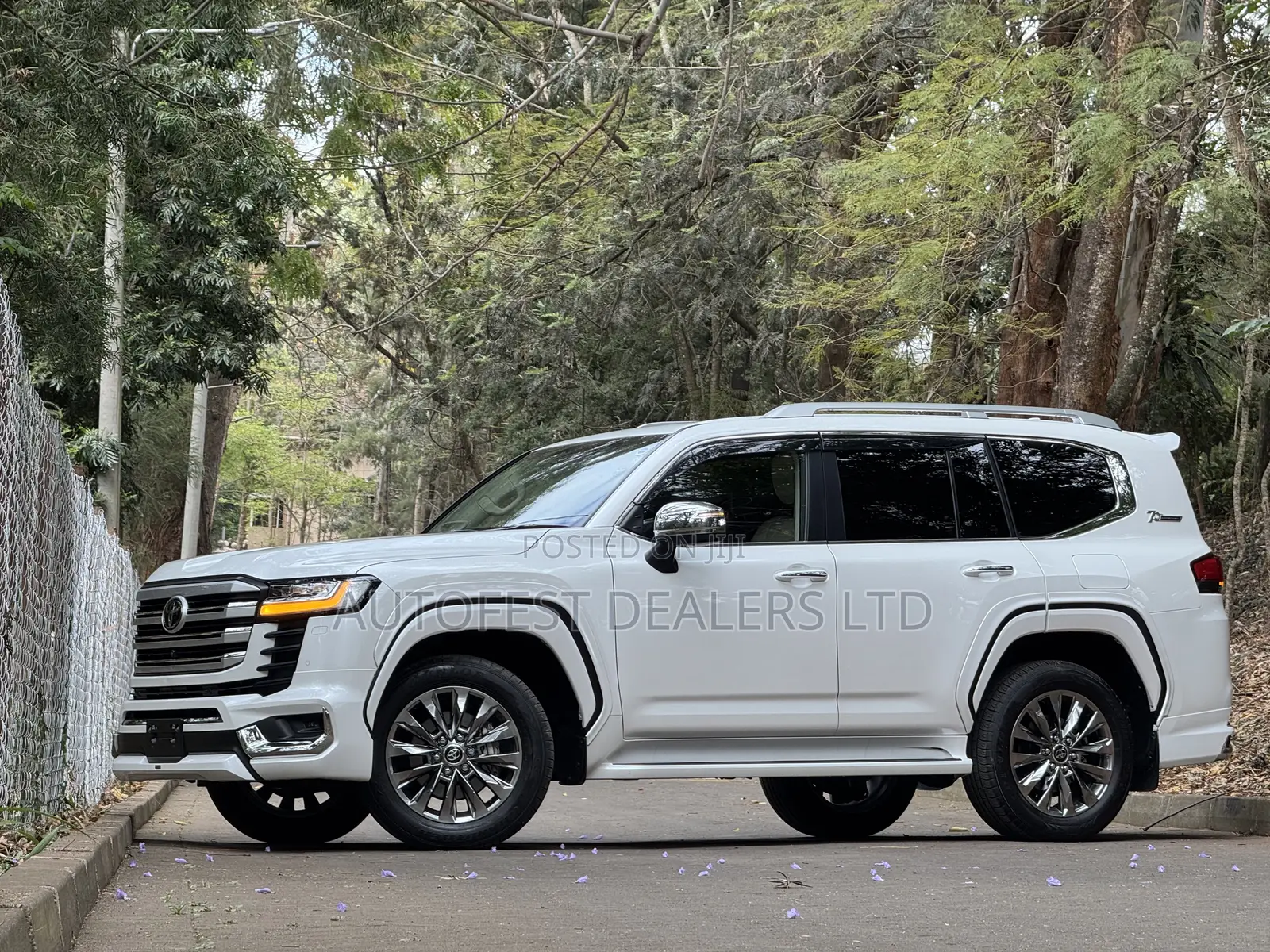 Toyota Land Cruiser LC300 2023 Pearl