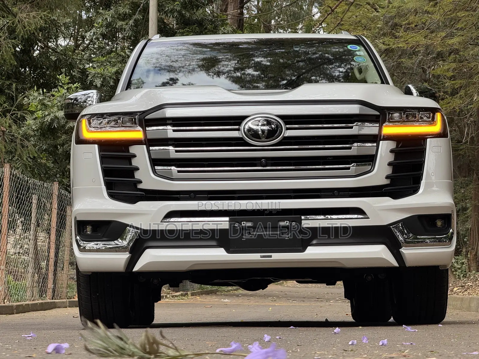 Toyota Land Cruiser LC300 2023 Pearl