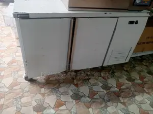 Under Counter Chiller Stainless Steel