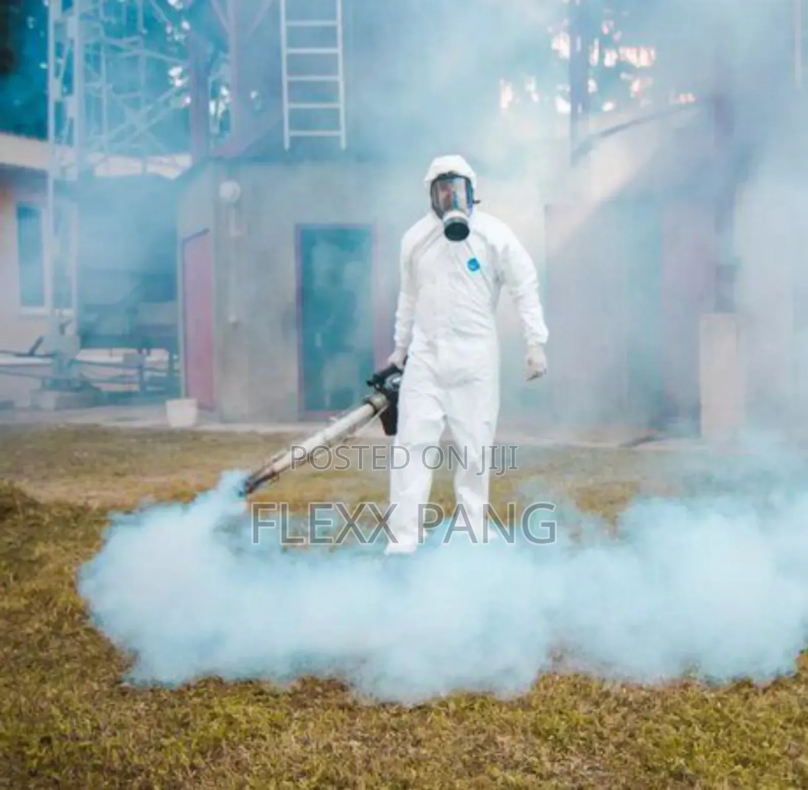 Bedbugs Removal