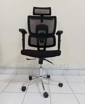Ergonomic Desk Chair