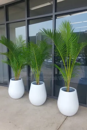 Glass Fibre Vases for Fresh Palm Trees Office and Restaurants Decor